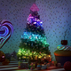 A photo of Twinkly's Christmas lights